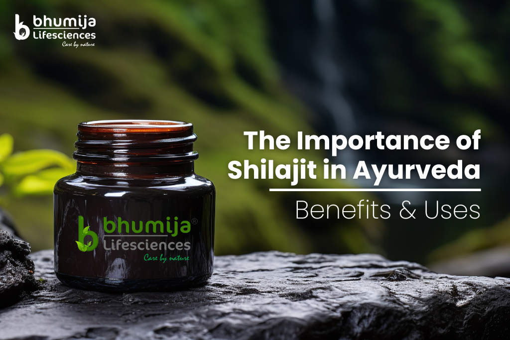 The Importance of Shilajit in Ayurveda - Benefits & Uses