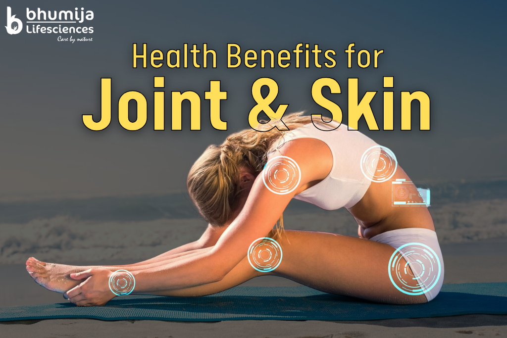 MSM Supplements: Disclosing Key Health Benefits for Joint and Skin