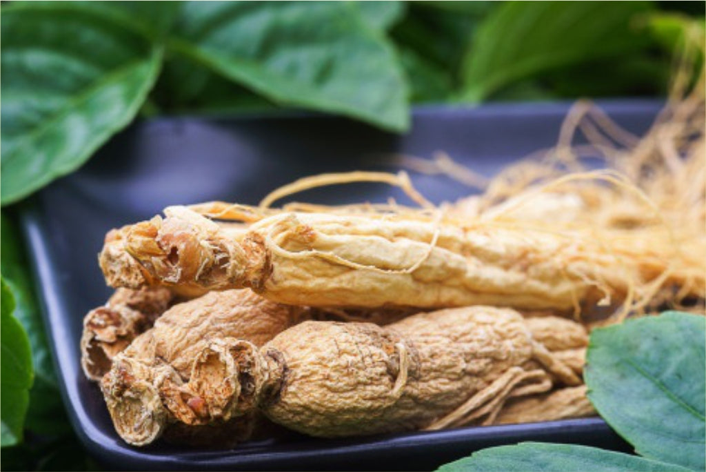 Korean Ginseng- Overview, History, Benefits, Precaution, Dosage & FAQ