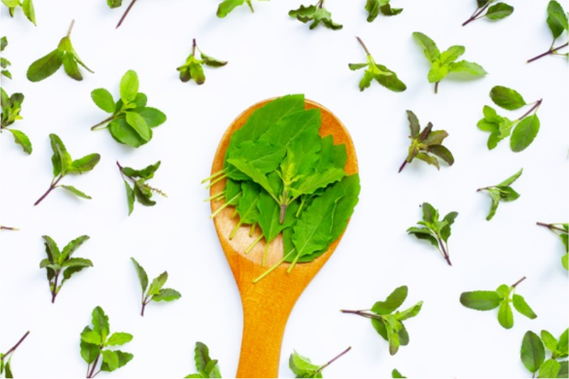 Ultimate Health Benefits of Panch Tulsi Drops
