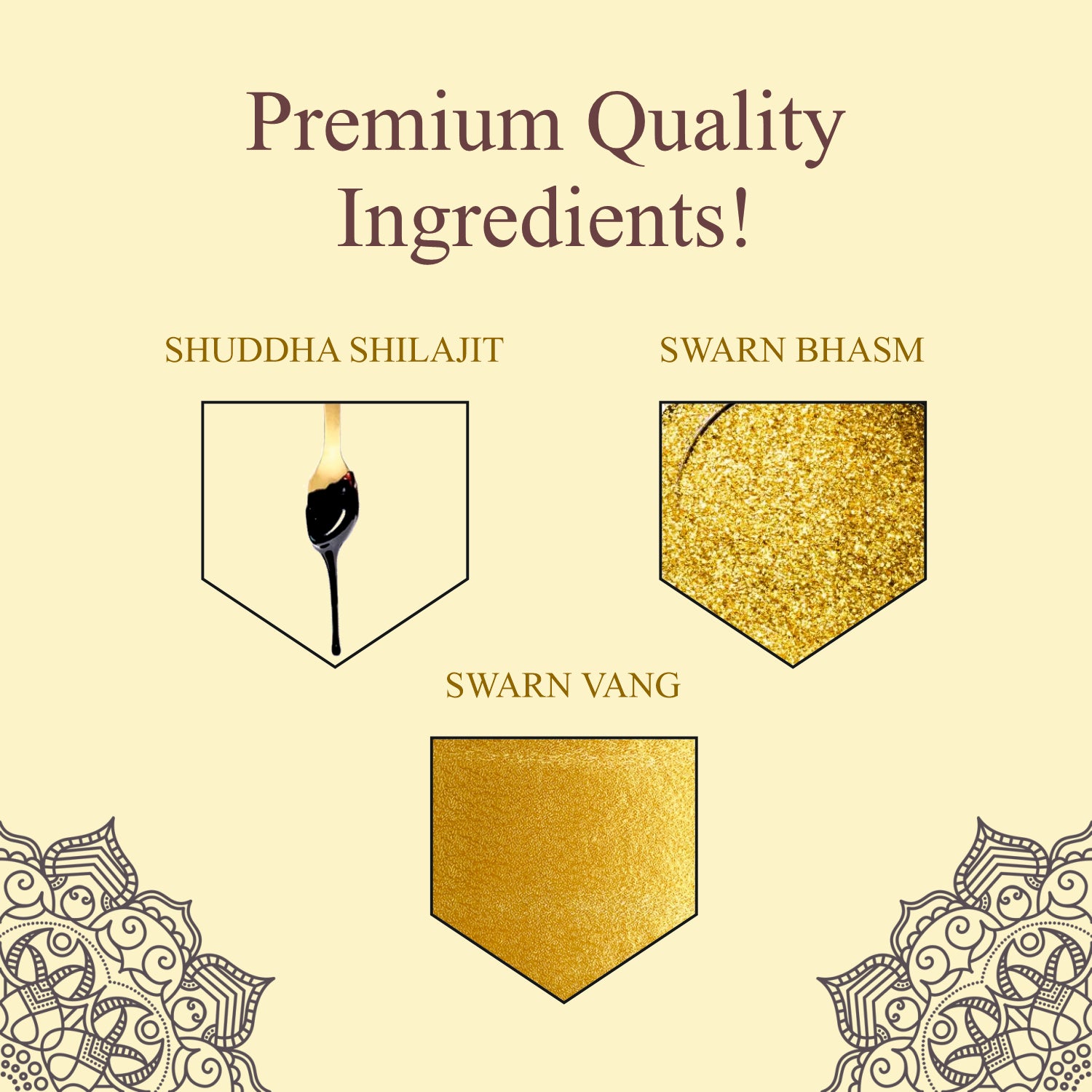 Bhumija Lifesciences Shilajit Gold Resin - 20g