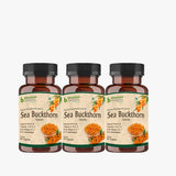Bhumija Lifesciences Sea Buckthorn 60 Capsules