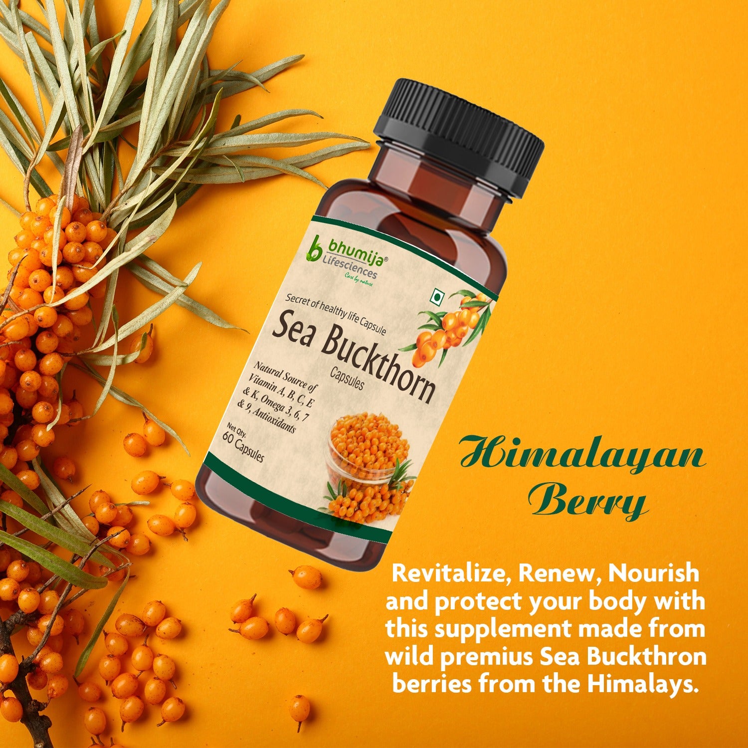 Bhumija Lifesciences Sea Buckthorn 60 Capsules
