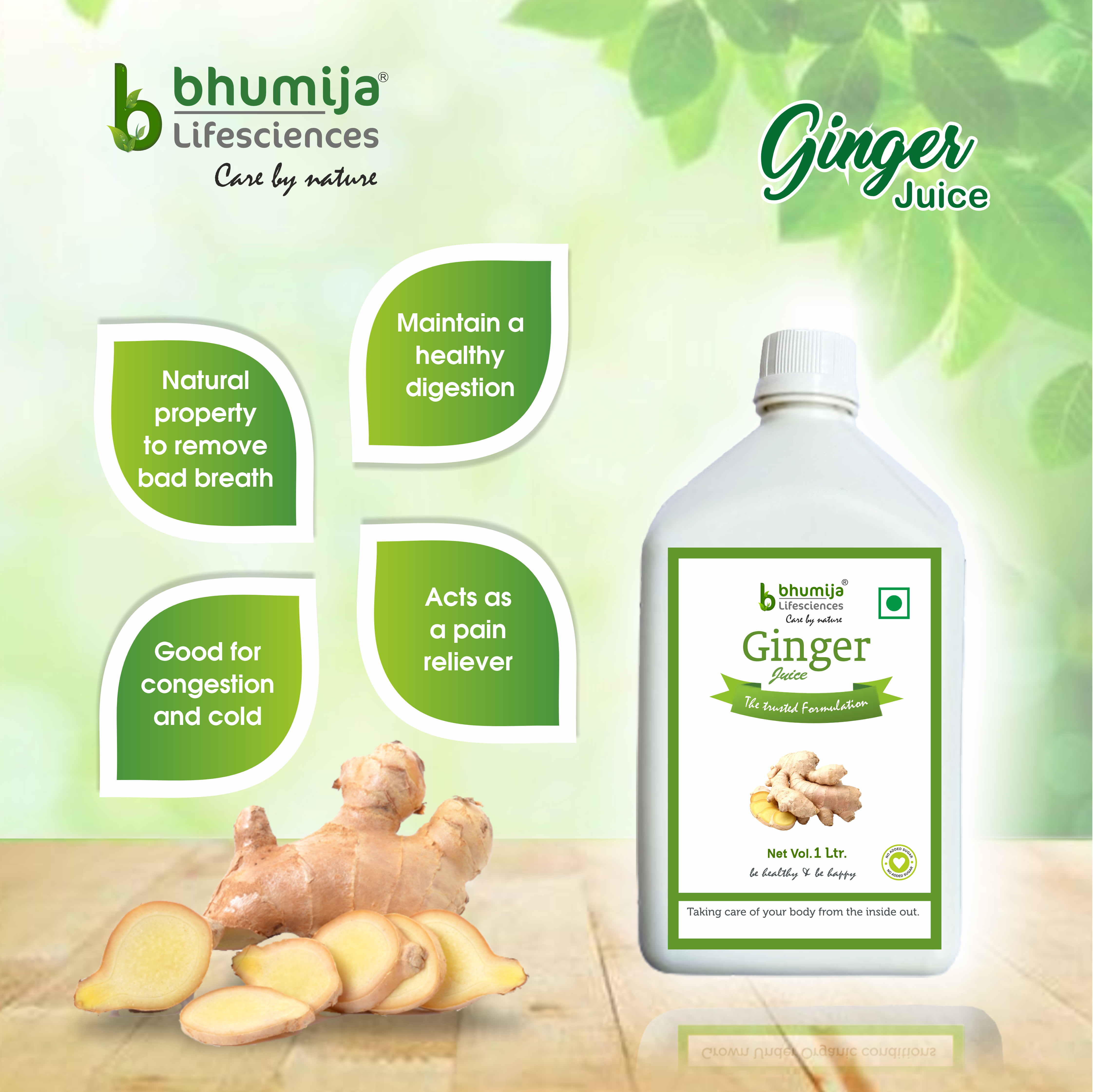 Bhumija Lifesciences Ginger Juice (No added Sugar) 1 Ltr