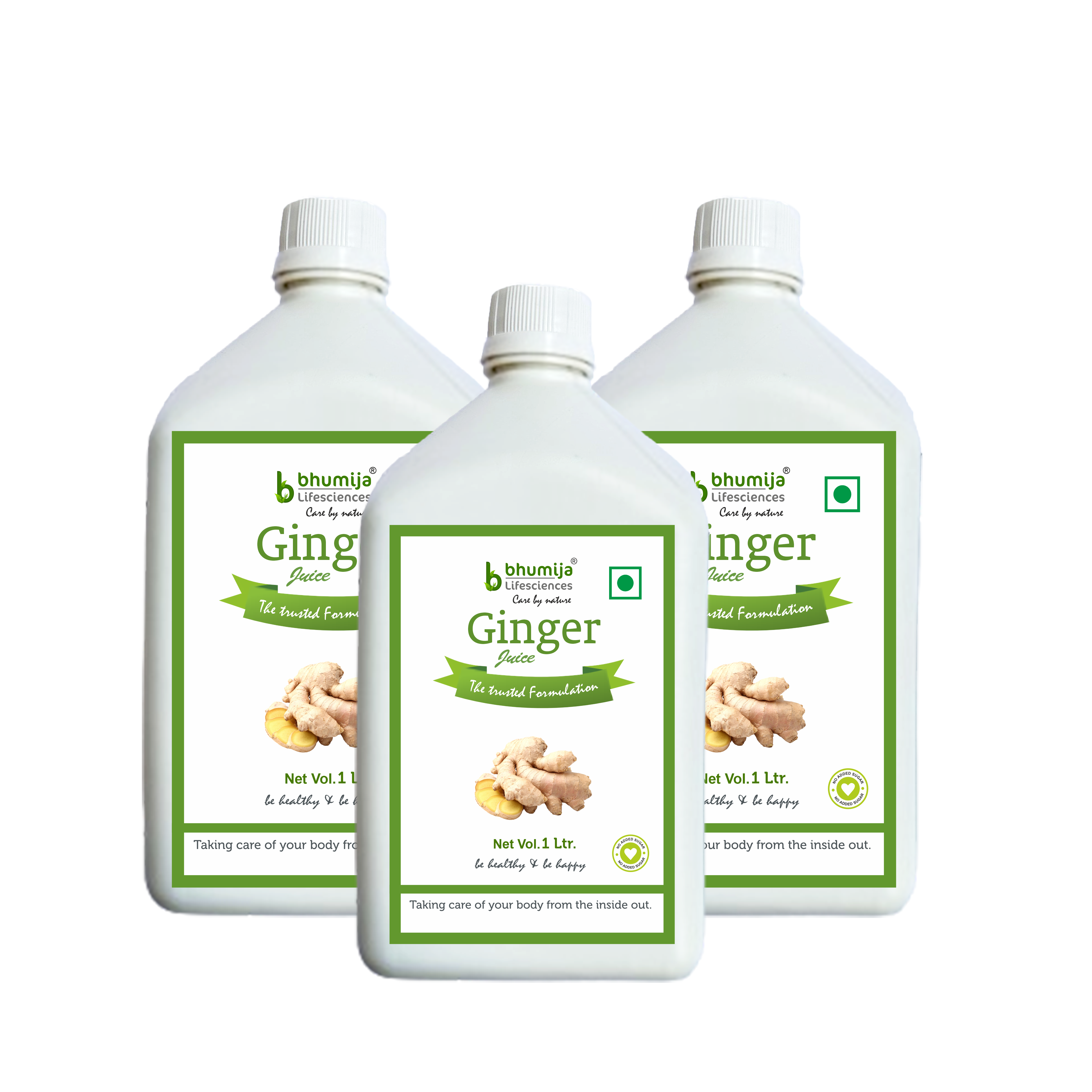 Bhumija Lifesciences Ginger Juice (No added Sugar) 1 Ltr