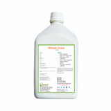 Bhumija Lifesciences Wheatgrass Juice With No added Sugar 1 Ltr