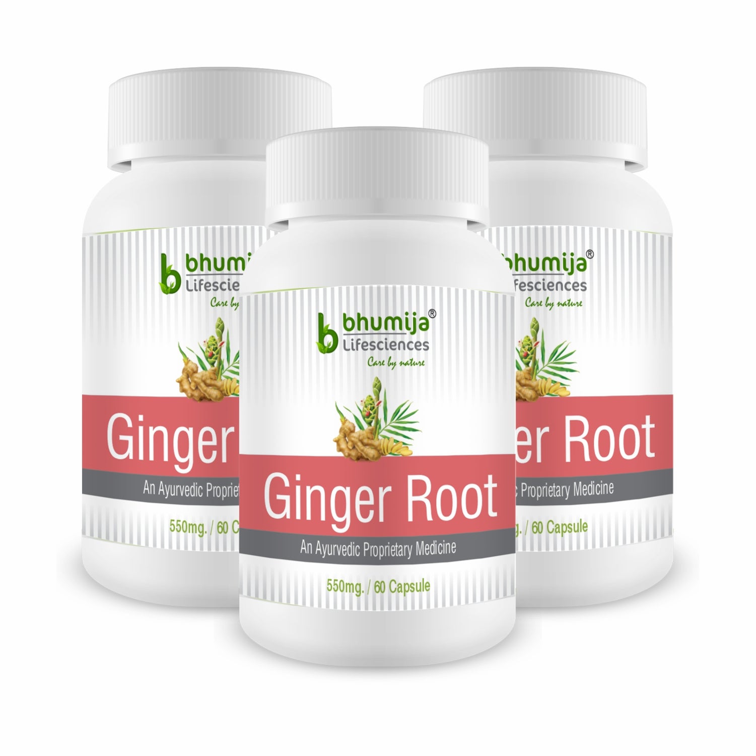 Bhumija Lifesciences Ginger Root 60 Capsules (Bottle 1)