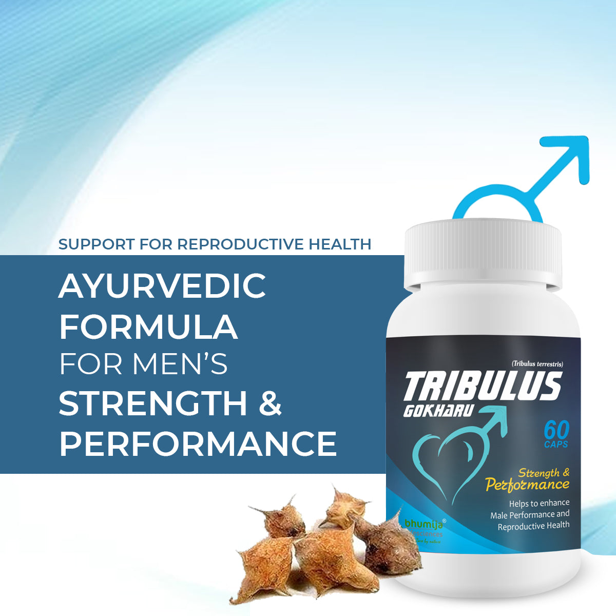 Bhumija Lifesciences Tribulus Gokharu 60 Capsules