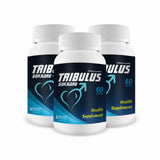 Bhumija Lifesciences Tribulus Gokharu 60 Capsules