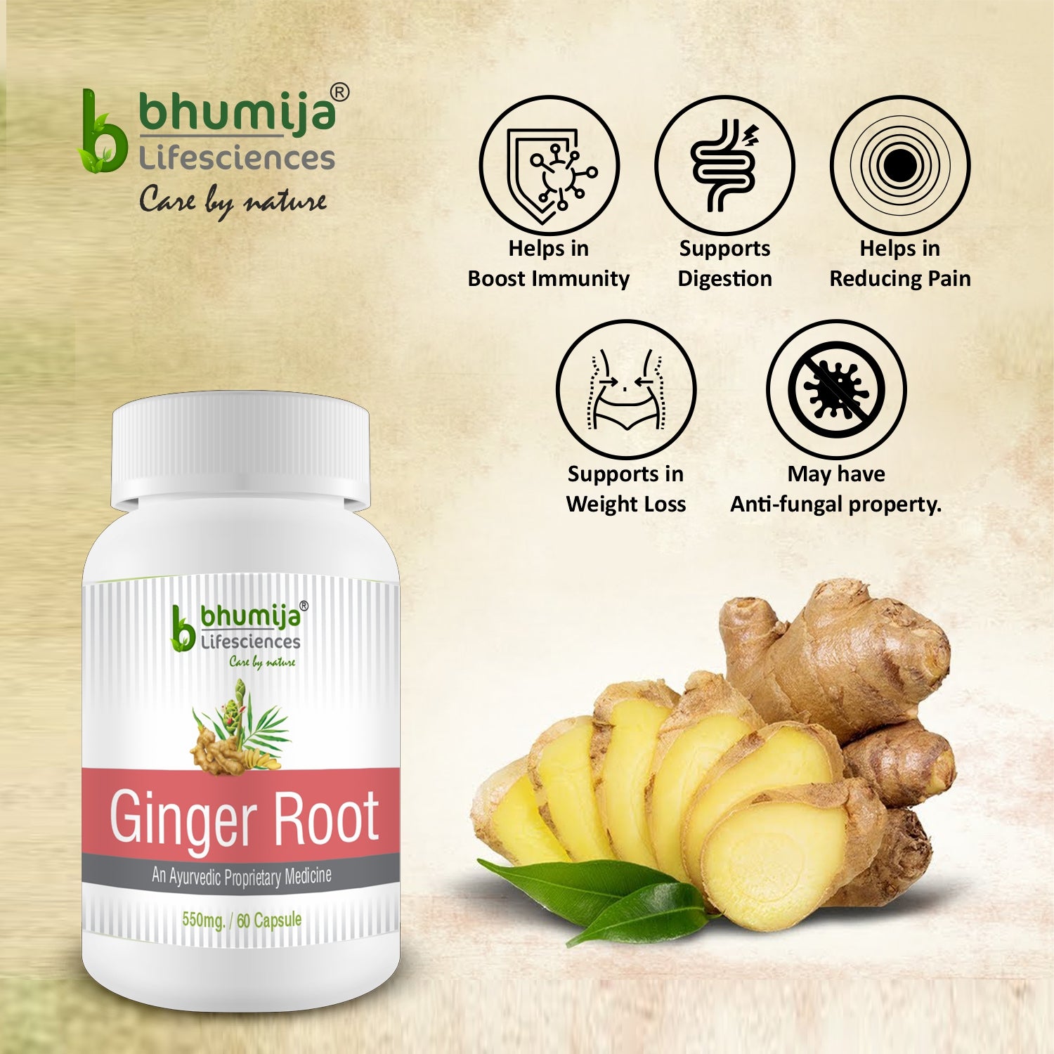 Bhumija Lifesciences Ginger Root 60 Capsules (Bottle 1)