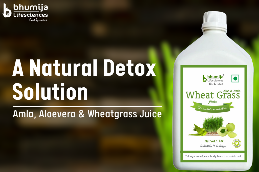 The Benefits of Amla, Aloe Vera, and Wheat Grass Juice: A Natural Detox Solution