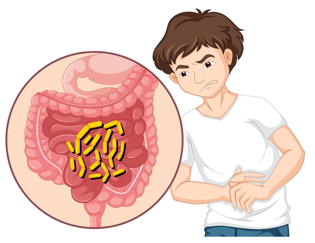 Intestinal flora? Must Take Care Of It