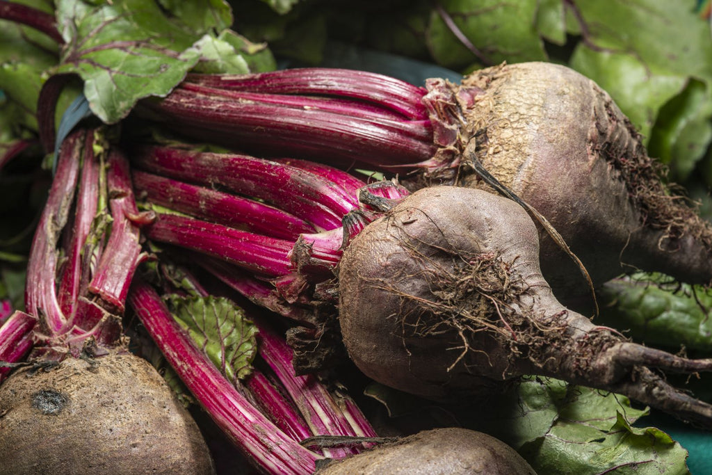 Sugar Beet - Overview, History, Benefits, Precaution, Dosage