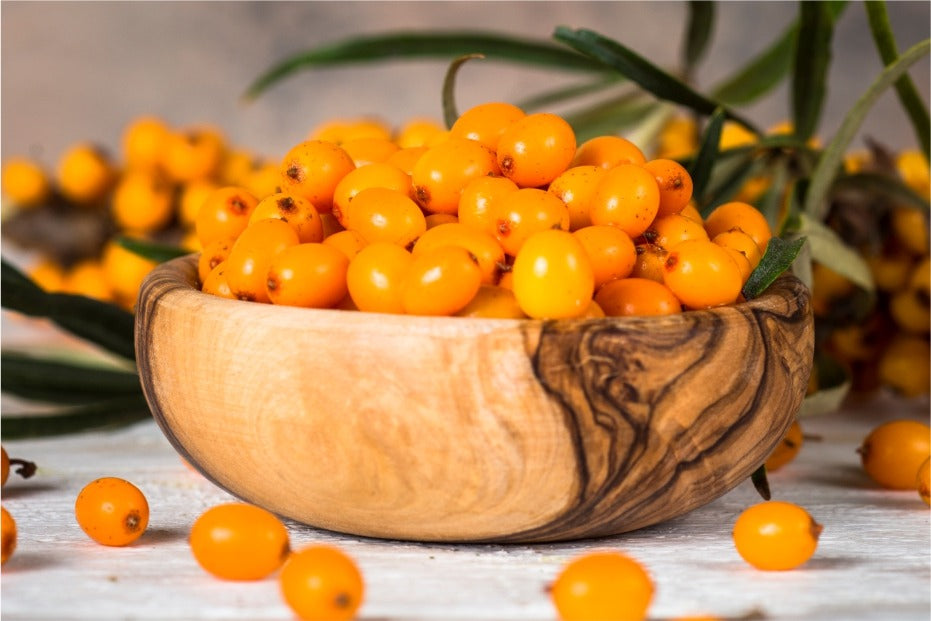 Sea Buckthorn - Overview, History, Uses, Benefits, Precaution, Dosage
