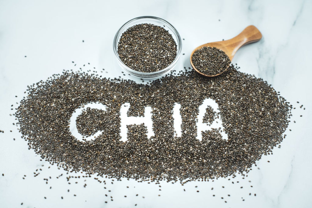 Chia Seeds - Overview, History, Benefits, Precaution, Dosage