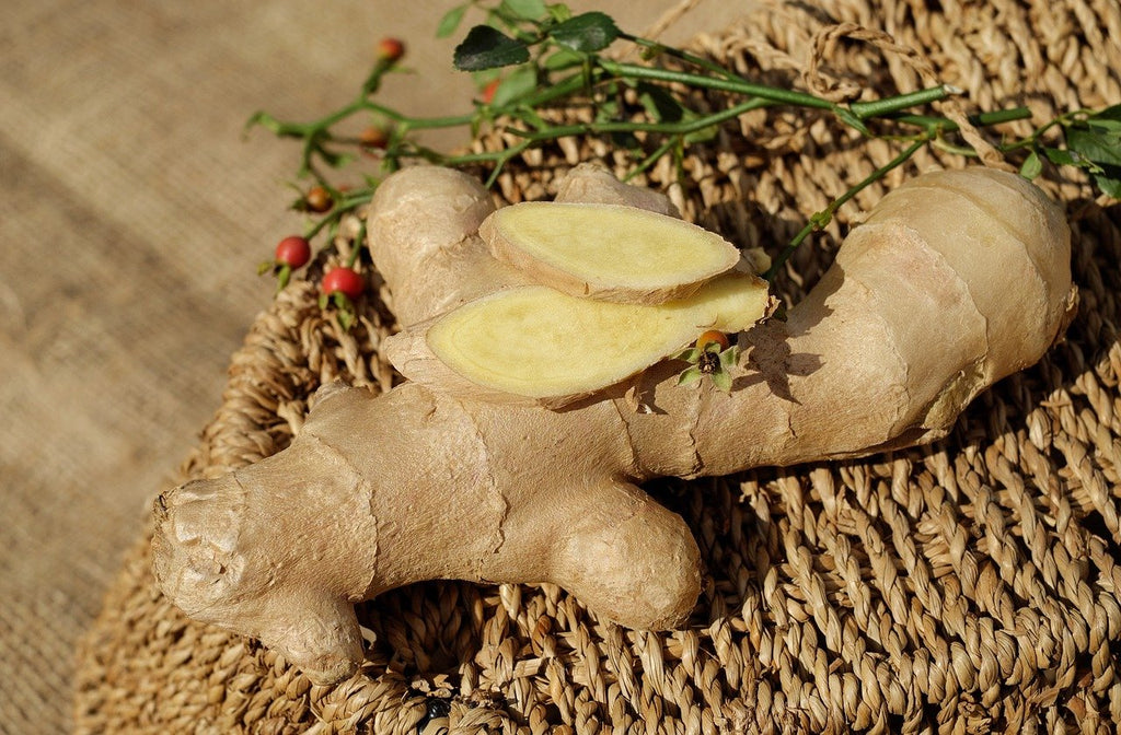 Ginger - Overview, History, Uses, Benefits, Precaution, Dosage