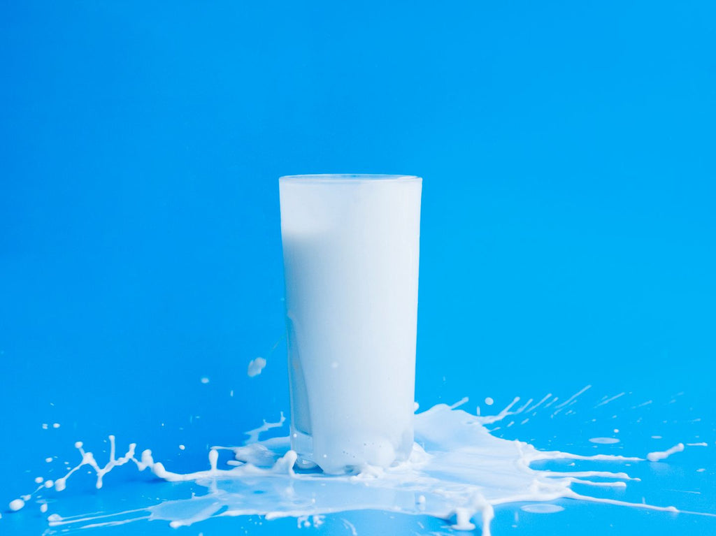 A2 Milk - Overview, Preparation, Benefits, Dosage
