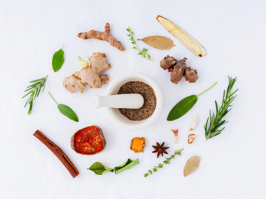 What is Ayurvedic Medicine? Its History, Eight Ayurveda Branches