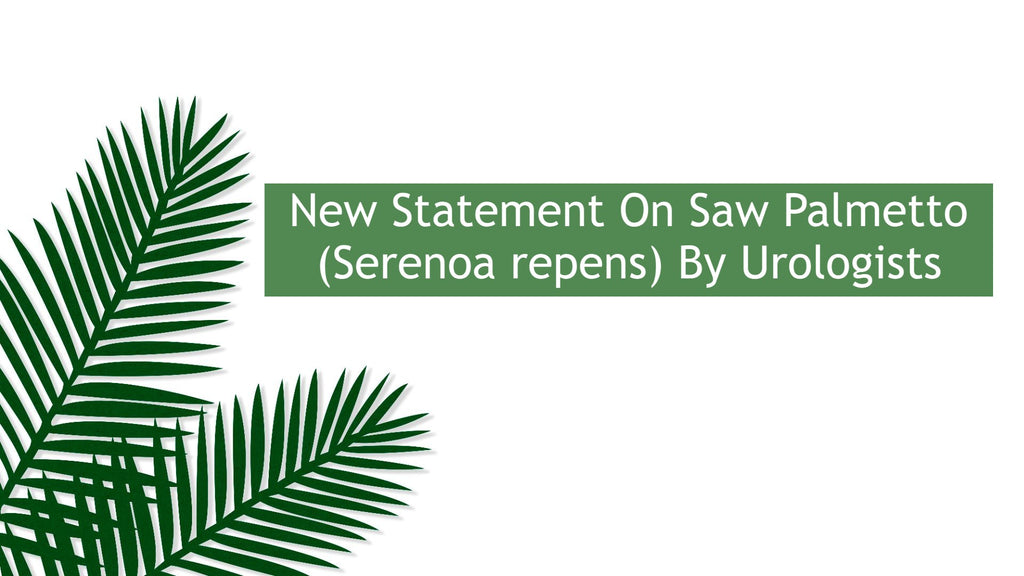 New Statement On Saw Palmetto (Serenoa repens) By Urologists