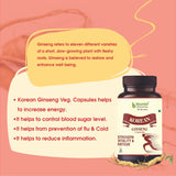 Complete Performance Combo: Bhumija's Active X (Shakti Aasav) With Korean ginseng 60 Capsules