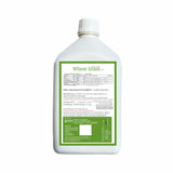 Bhumija Lifesciences Wheatgrass With Aloevera & Amla Juice 1000 Ml