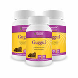 Bhumija Lifesciences Guggul 60 Capsules