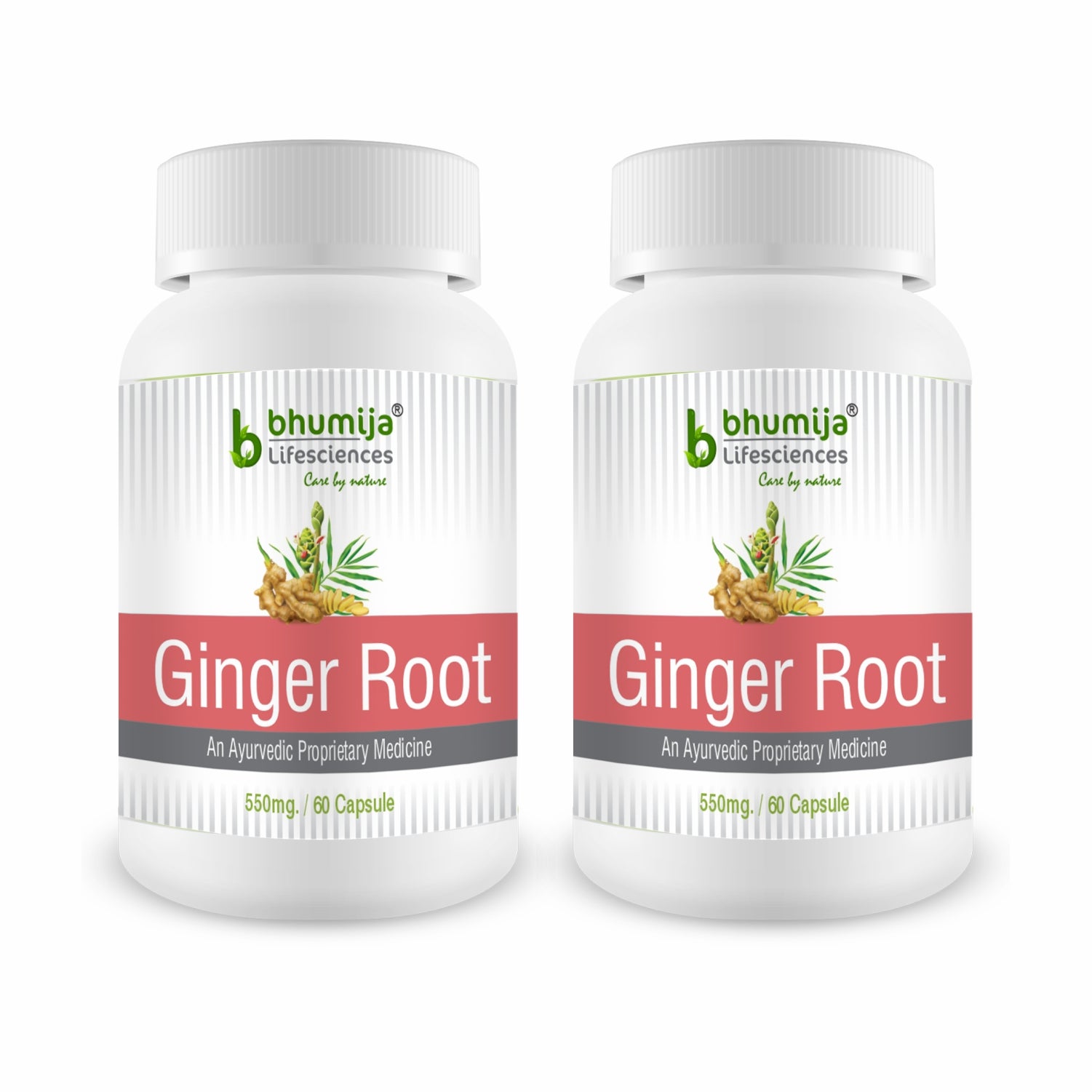 Bhumija Lifesciences Ginger Root 60 Capsules (Bottle 1)