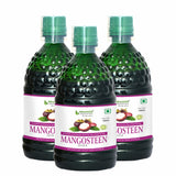 Bhumija Lifesciences Mangosteen Juice 500ml