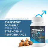 Bhumija Lifesciences Tribulus Gokharu 60 Capsules