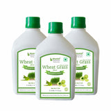 Bhumija Lifesciences Wheatgrass With Aloevera & Amla Juice 1000 Ml